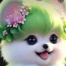 保护自己xo