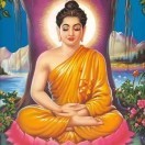 一花一世界8kd