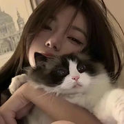 🥬.小鬼👻的头像