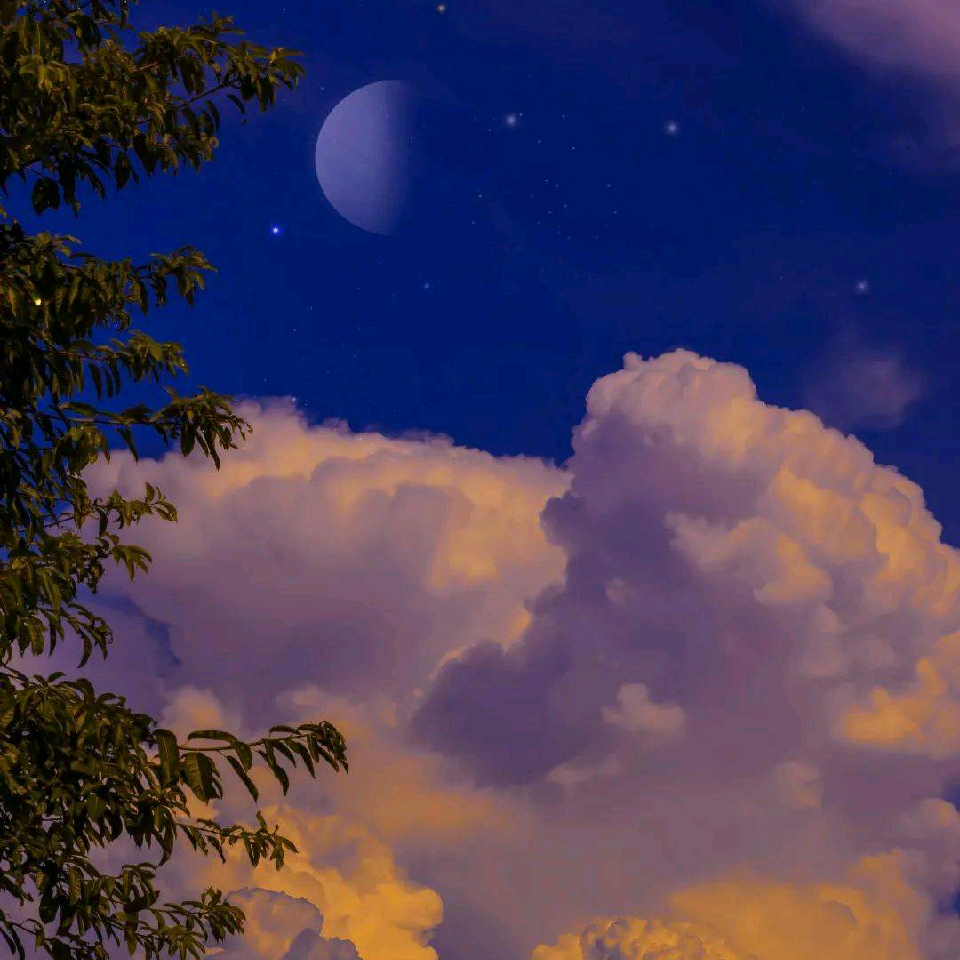 轩辕星～海报