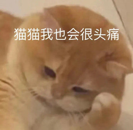 洁儿宝宝💗~主播照片