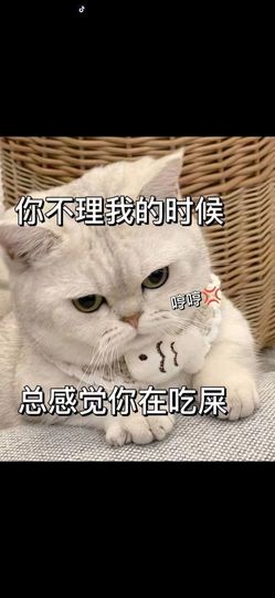 丑小鸭🌈万人迷眼睛主播照片
