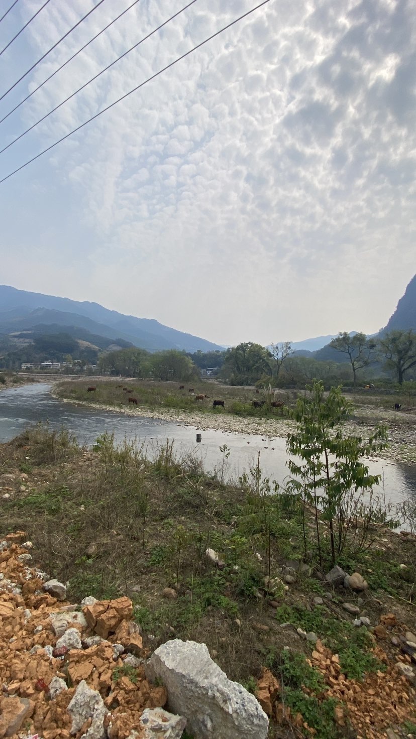许华峰（努力版）的图片