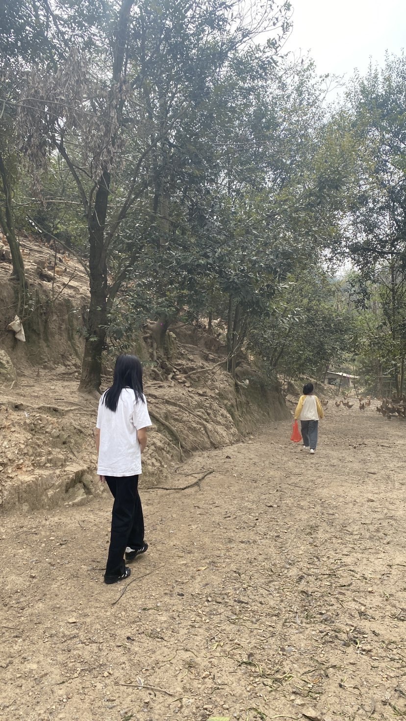 许华峰（努力版）的图片