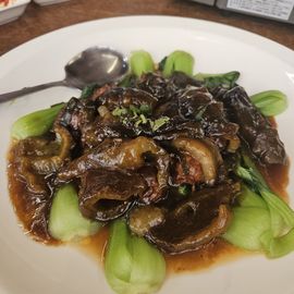 扯一下皮皮主播照片