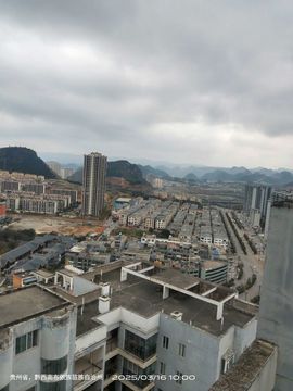 〓打羽毛球的穿山甲〓的图片