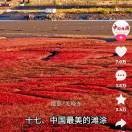 九九八十一5g