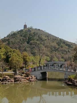 ღ🥀⃟人间᭄半途的图片