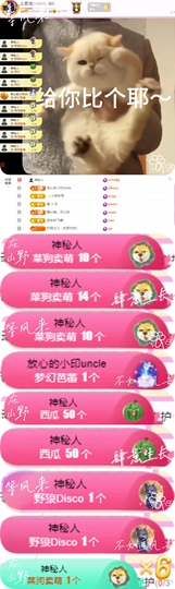 上官浅的图片