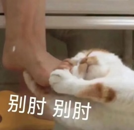 艺艺🍪休一个月主播照片
