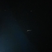 臭猫0805海报