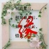 👹👾宝哥🤡👿海报