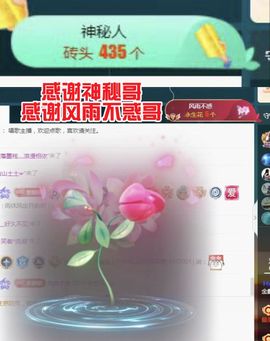 金麒麟安静唱歌🎤主播照片