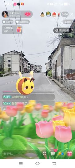妞妞骑行三亚的图片