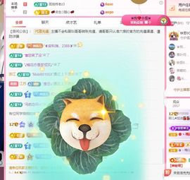 菲儿💗求陪伴主播照片