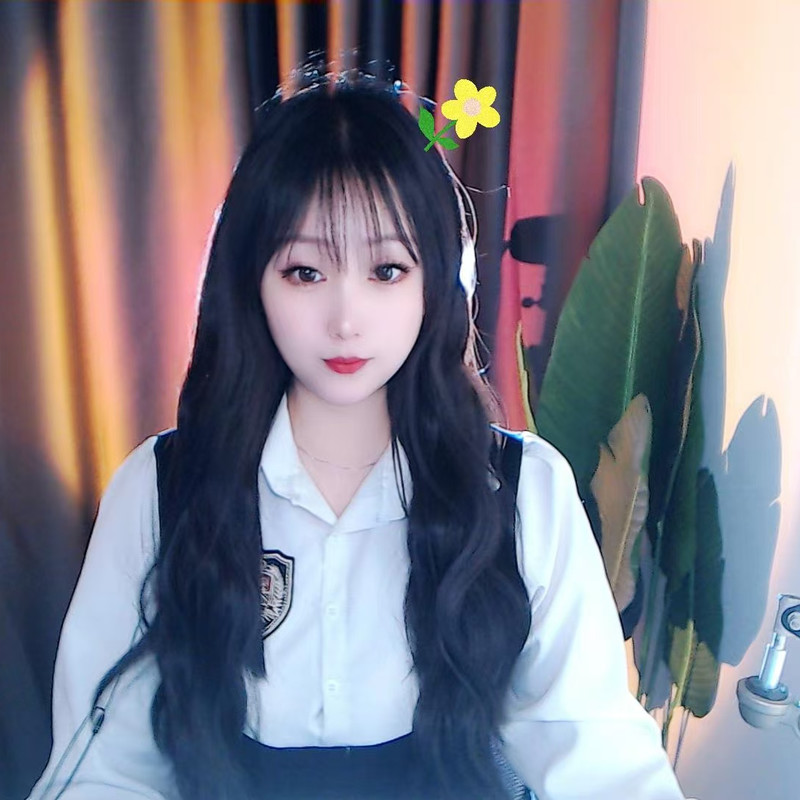 旺财小福星海报