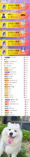 陈慧慧🥕早9晚8主播照片