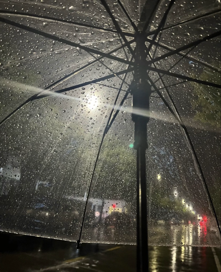 玫瑰是我偷的.海报