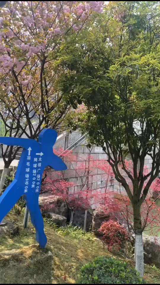 阳光正好