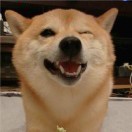 随风!qy