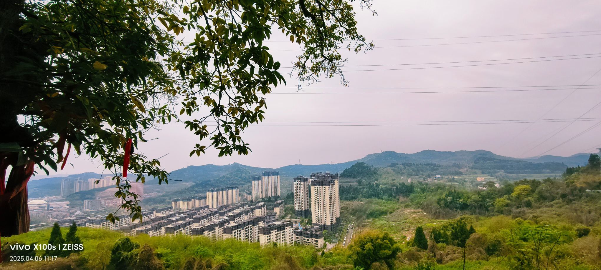 妞妞骑行全国的图片