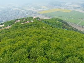 无元人主播照片