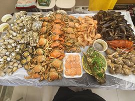 我是小七呀主播照片
