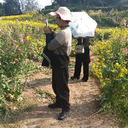 樵儿爱旅游