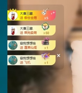 Lily喵的图片