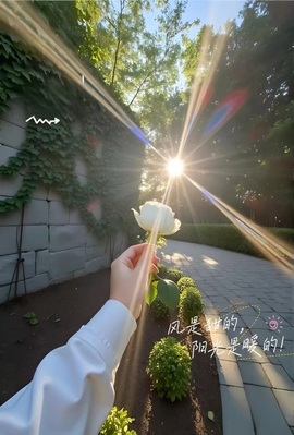 魔萱🎀主播照片