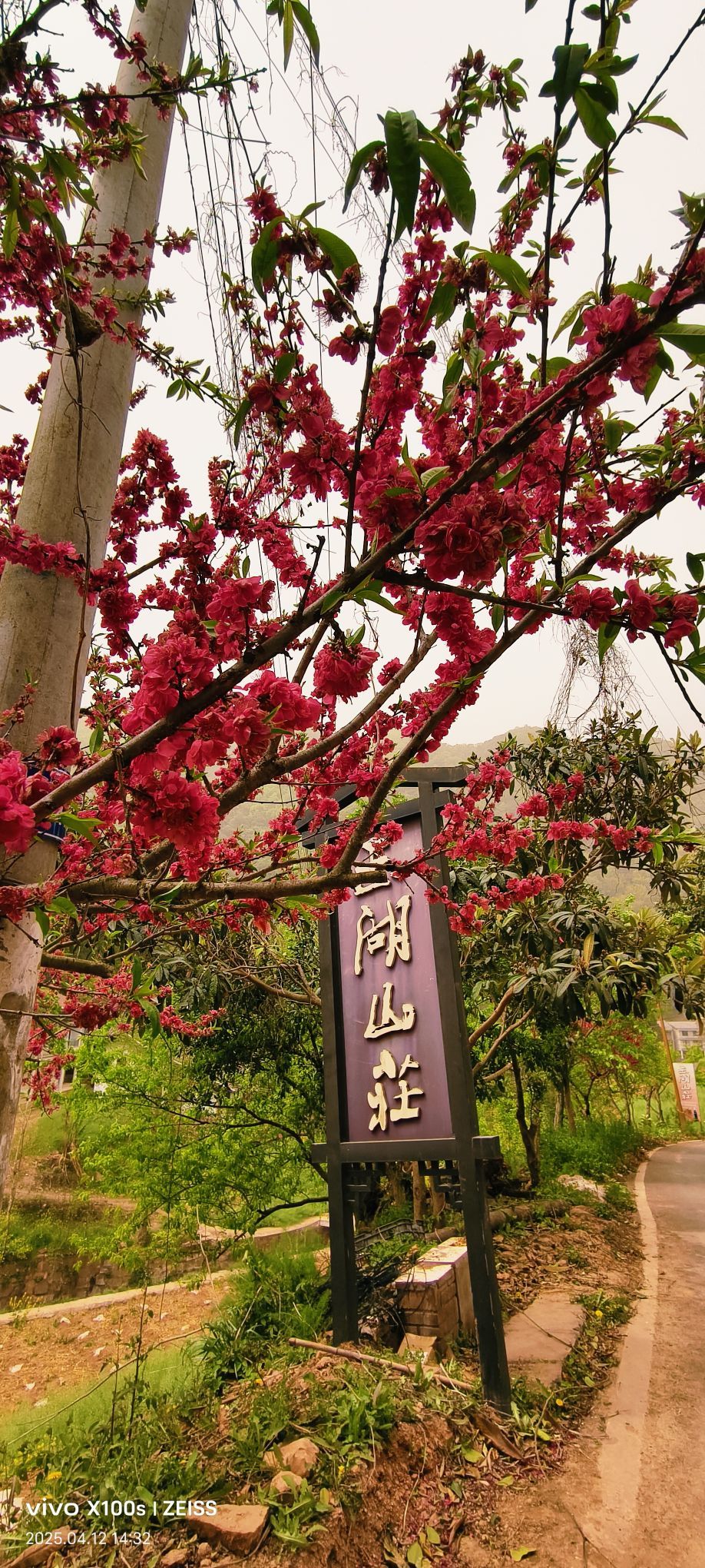 妞妞骑行全国的图片