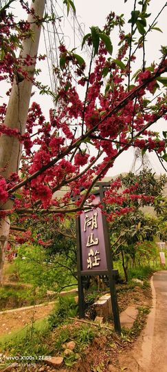 妞妞骑行中国主播照片