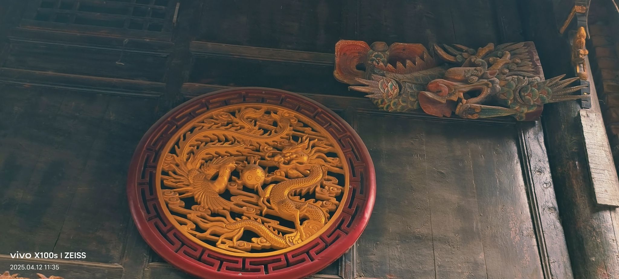 妞妞骑行全国的图片