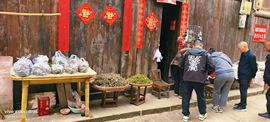 妞妞骑行中国主播照片