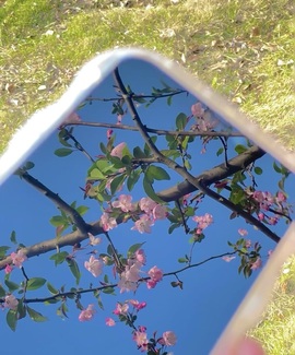 思佳💐主播照片