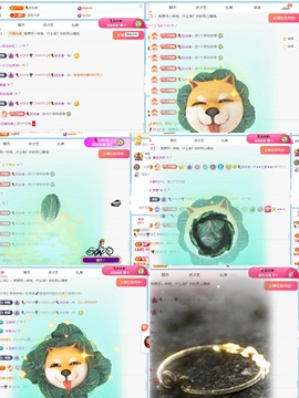 🎈汐不汐🌴主播照片