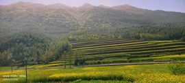 妞妞骑行中国主播照片