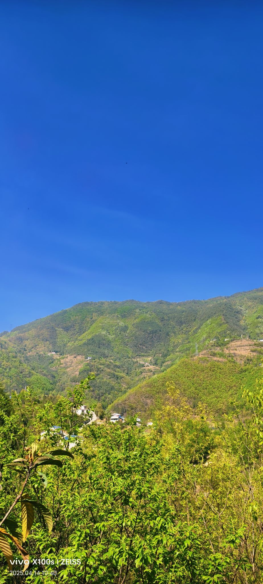 妞妞骑行全国的图片