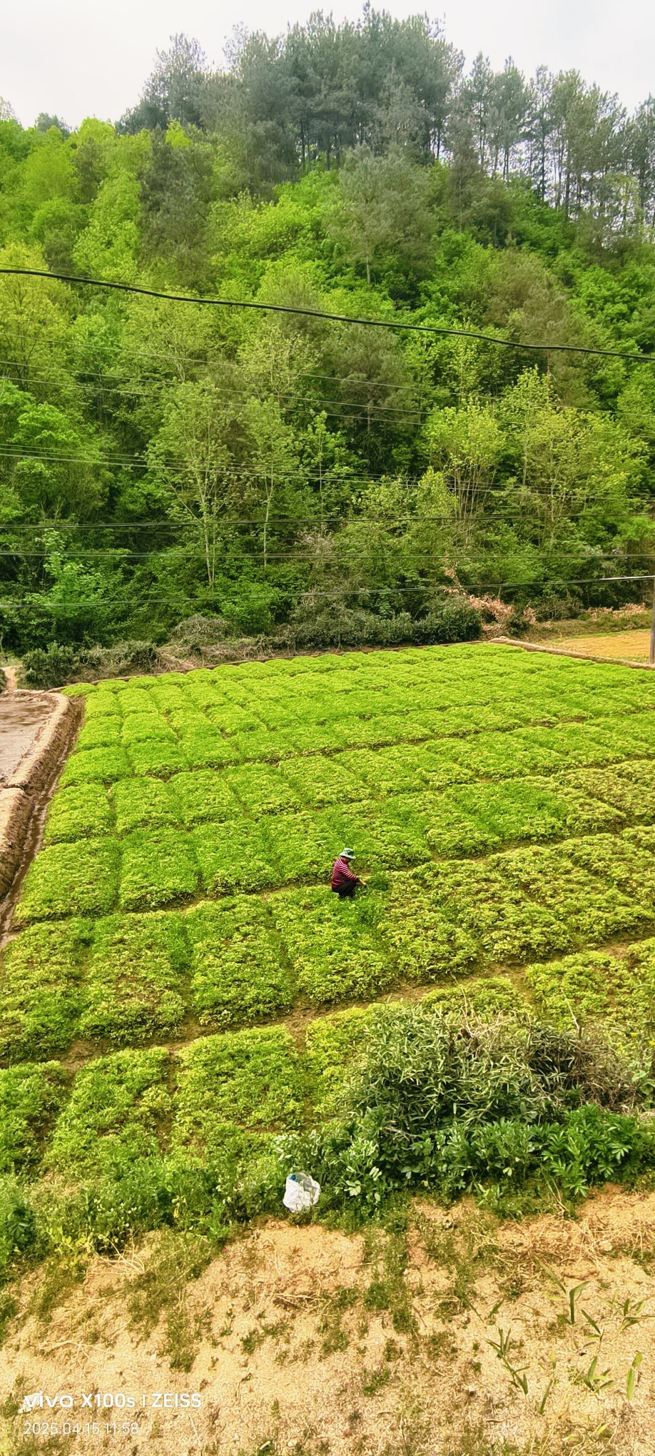 妞妞骑行全国的图片