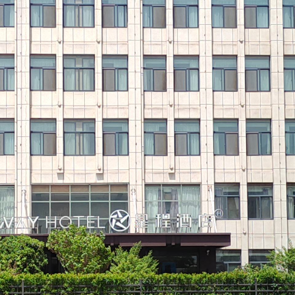 打高尔夫的苏格兰折耳海报