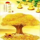 李金收