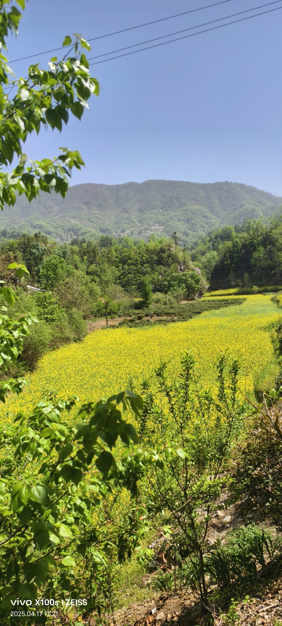 妞妞骑行全国的图片