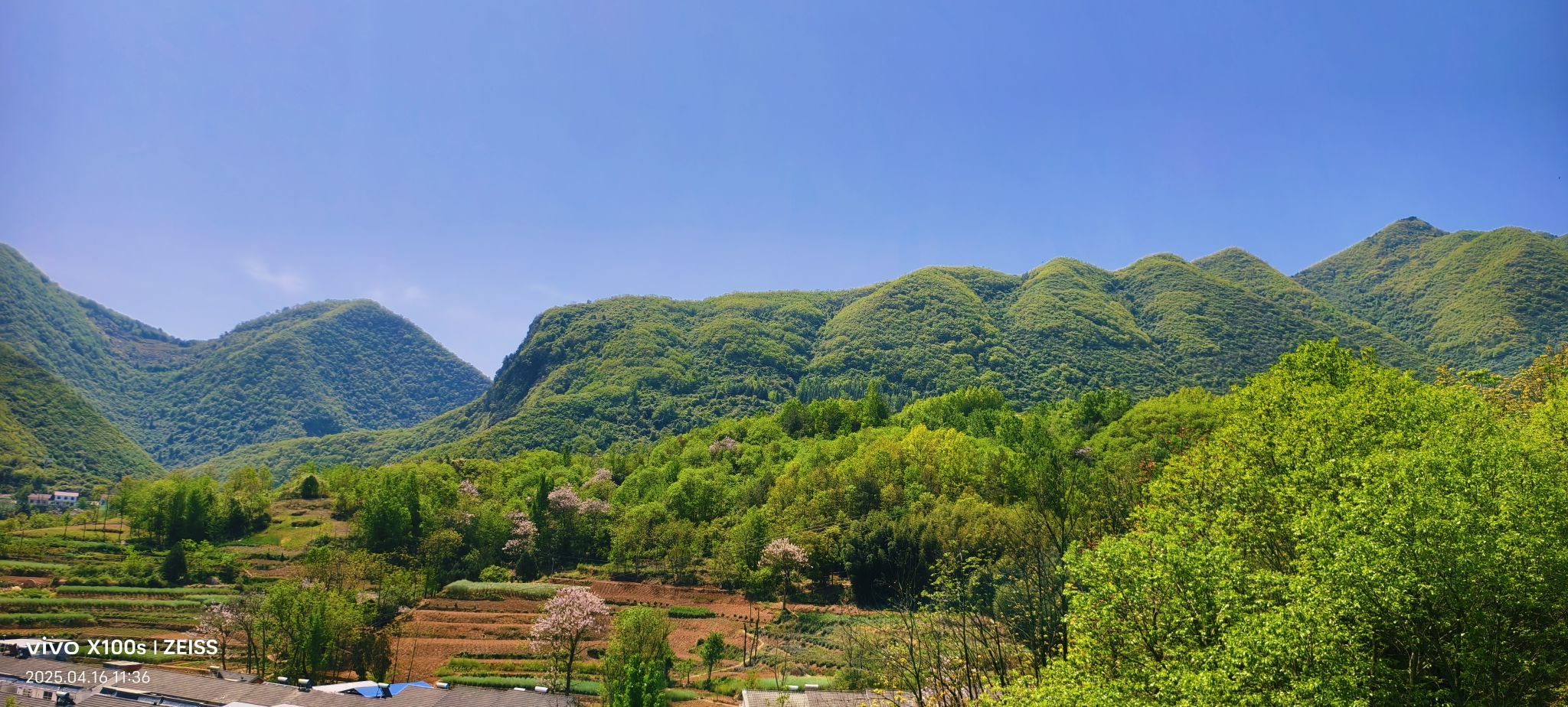 妞妞骑行全国的图片
