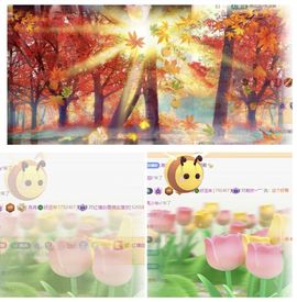 冉冉🍀好运来！主播照片