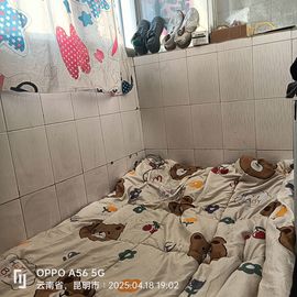 萌新宝宝LC7ILL主播照片
