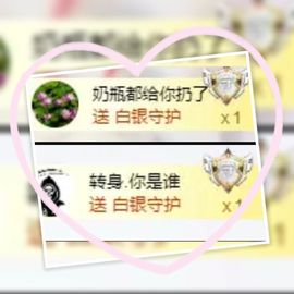 海鸽晚上播主播照片
