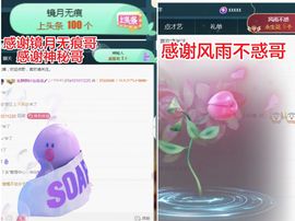 金麒麟安静唱歌🎤主播照片