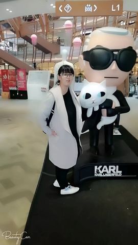 打高尔夫的苏格兰折耳的图片