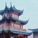 李红华y