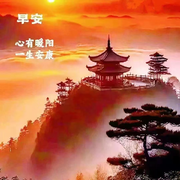漂洋过海来看小宝贝